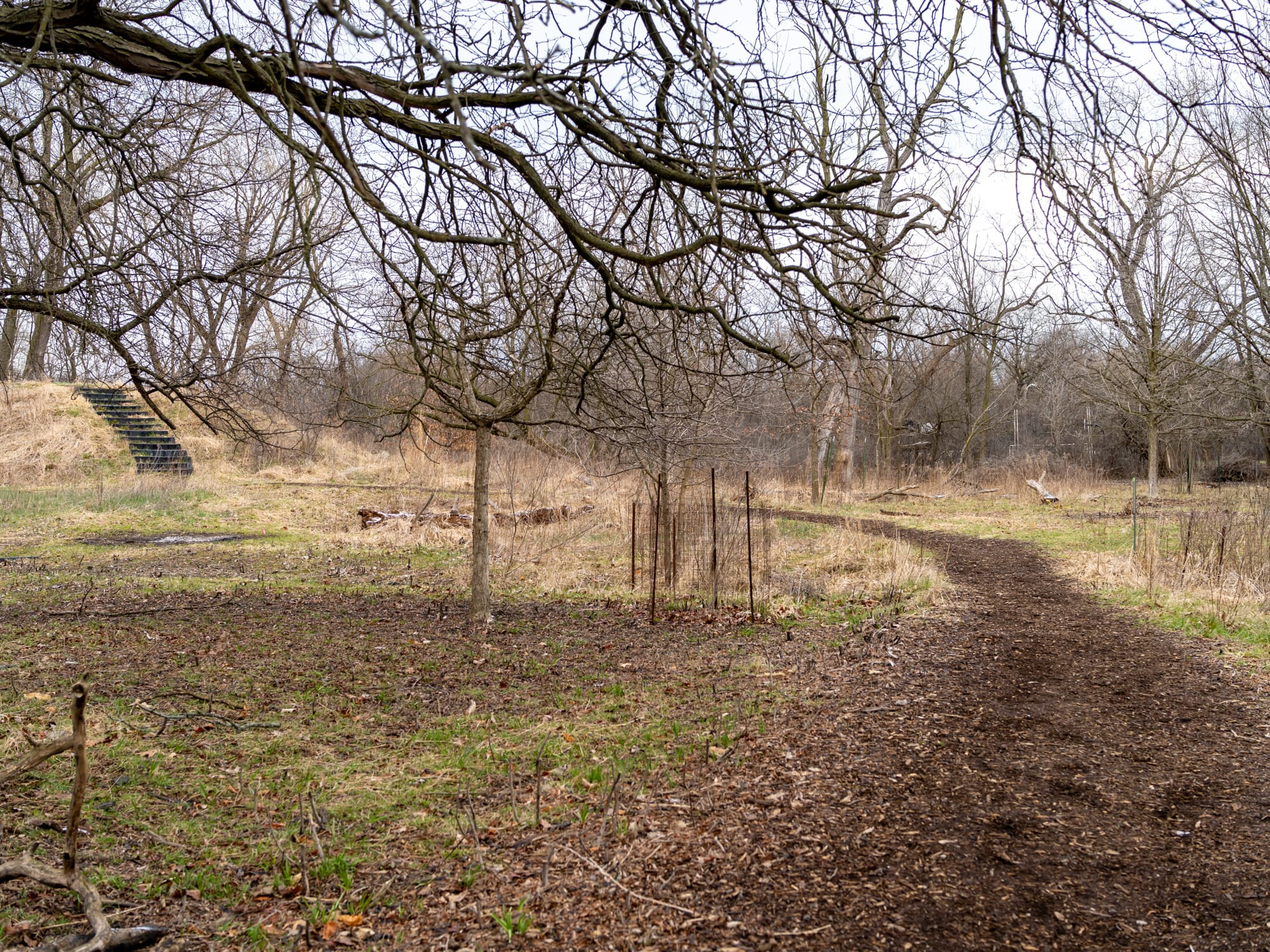Near the southeast end of the trails.
