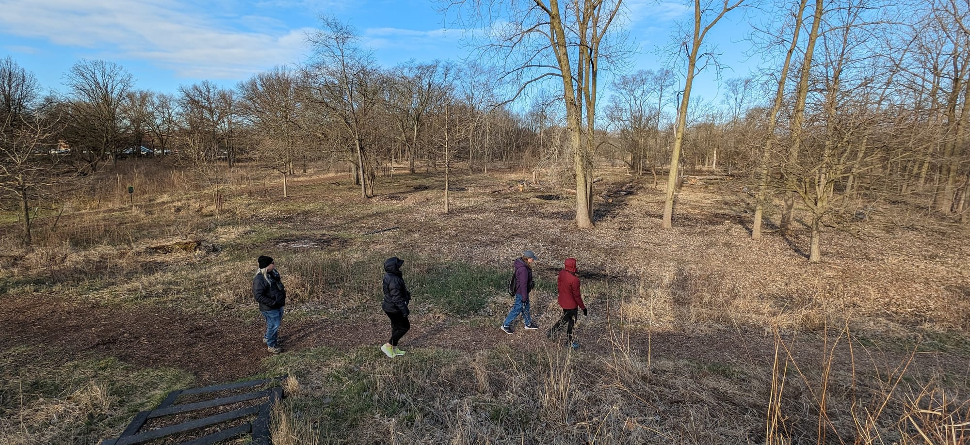 Four individuals walk along a designated chipwood path between a recently restored woodland area, and a praire hill. In the corner of the image, a set of stairs shows that the camera is being operated from a slightly elevated position.