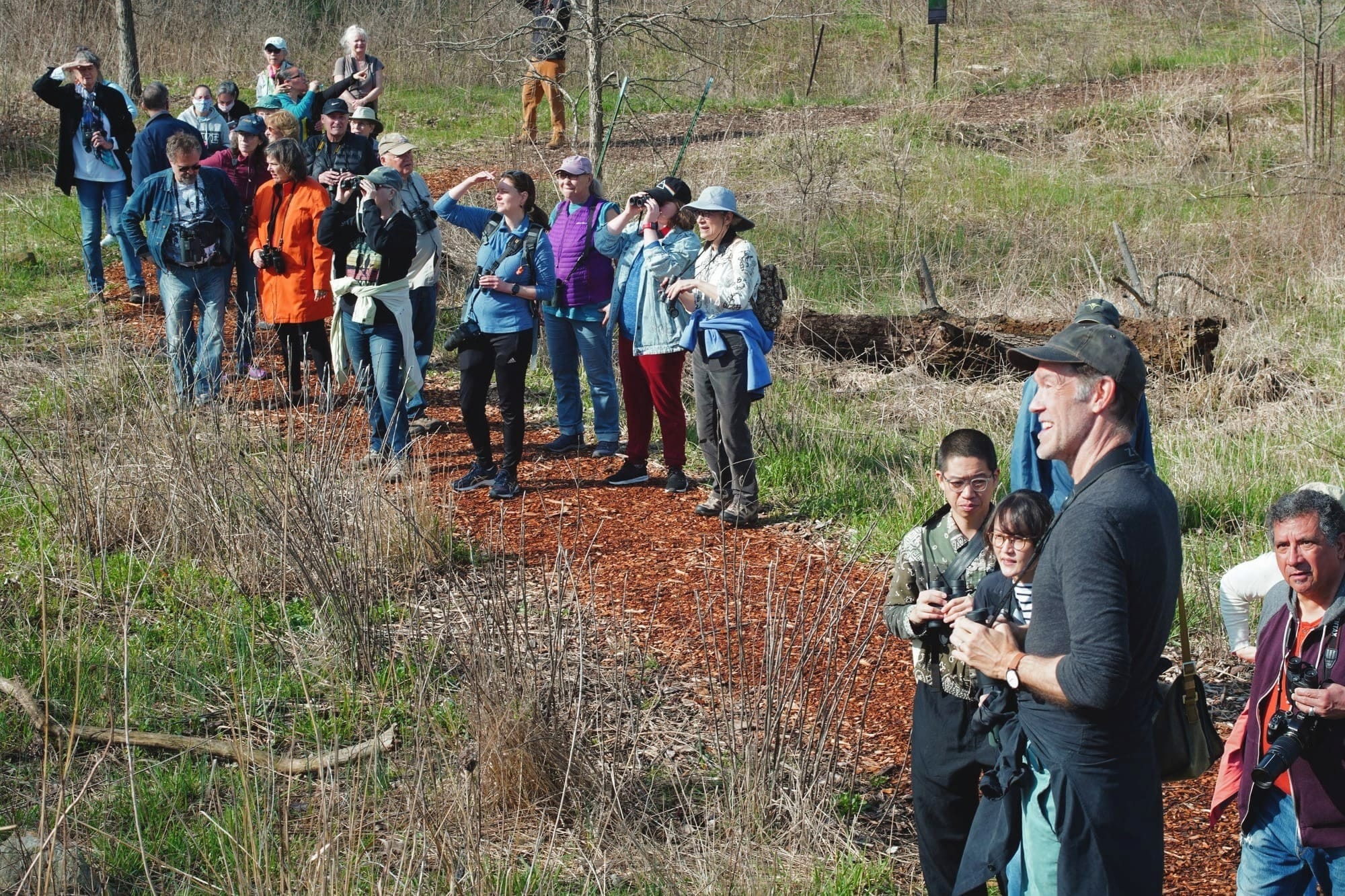 The Economic Value of Birds in Chicago