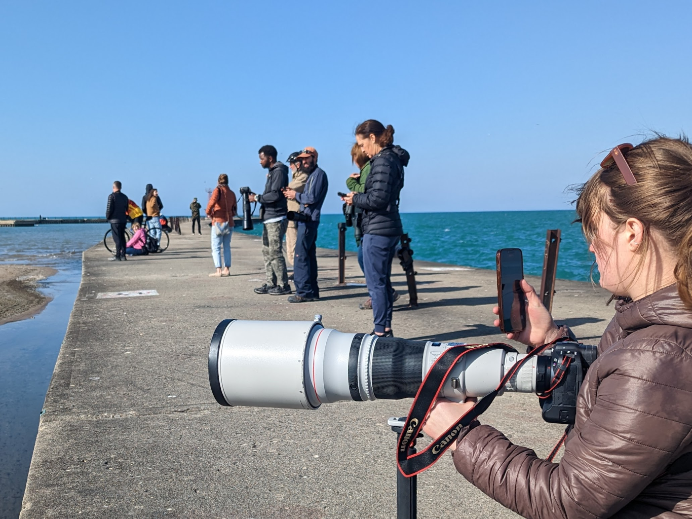 The Economic Value of Birds in Chicago