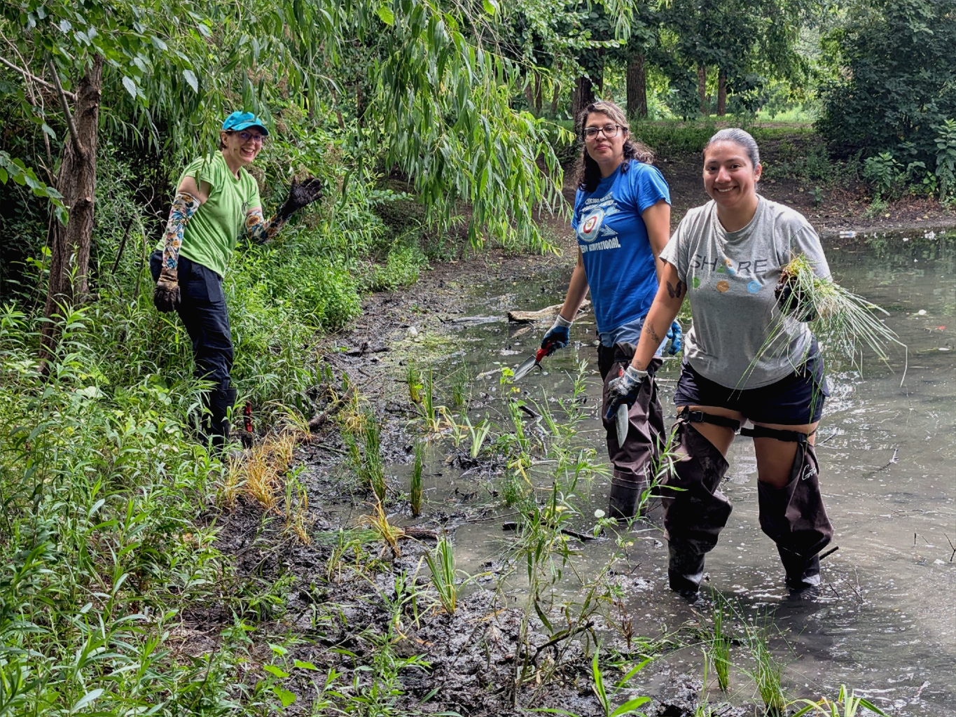 The Economic Value of Birds in Chicago
