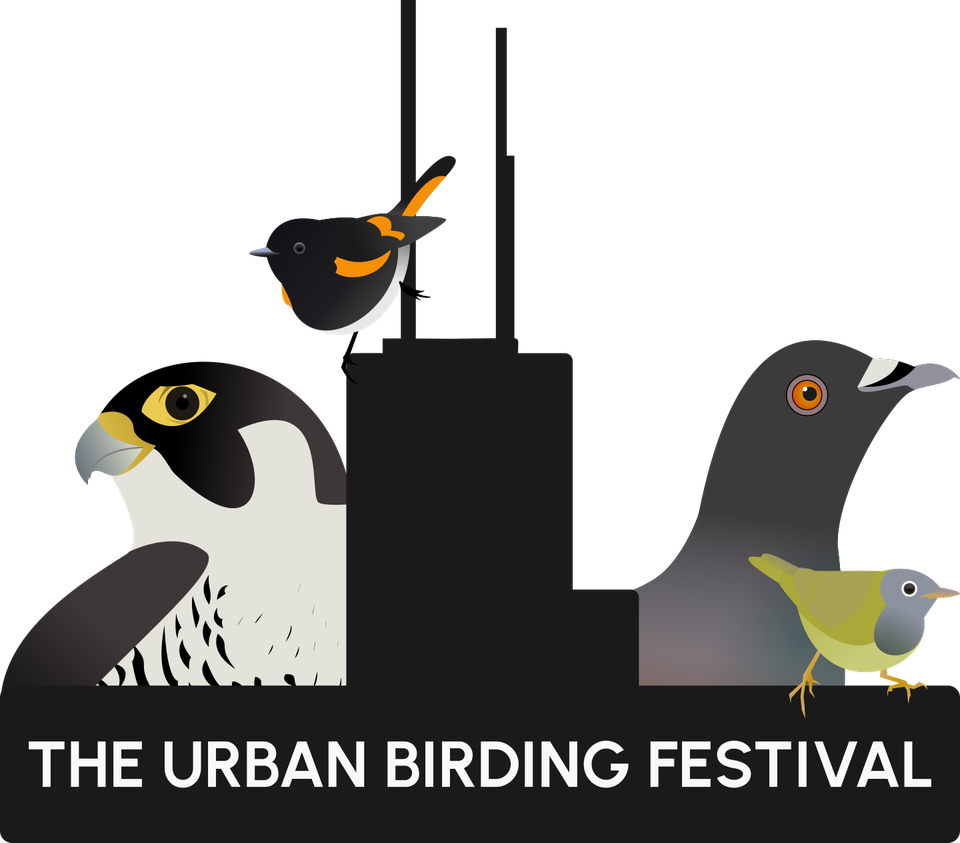NPV Birding: Spring Bird Count and Chicago's Bird Festival